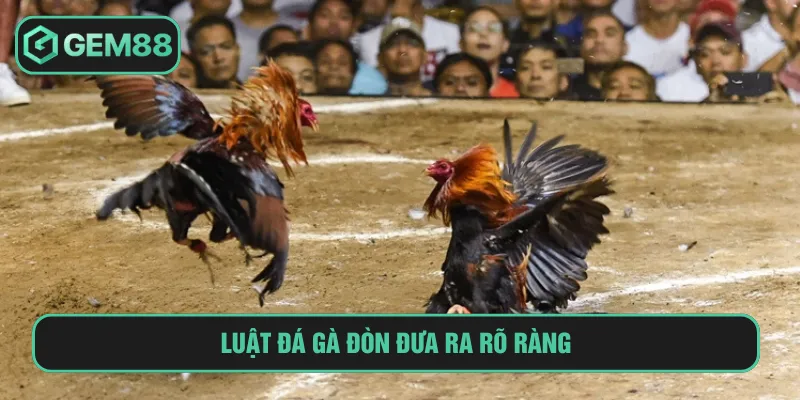 Luật đá gà đòn Thomo theo hạng cân rõ ràng