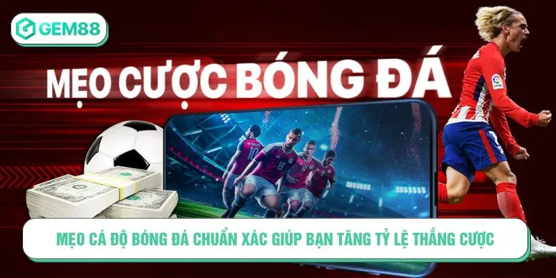 Mẹo Cá Độ Bóng Đá