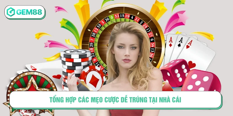 Tổng hợp các mẹo cược dễ trúng tại nhà cái